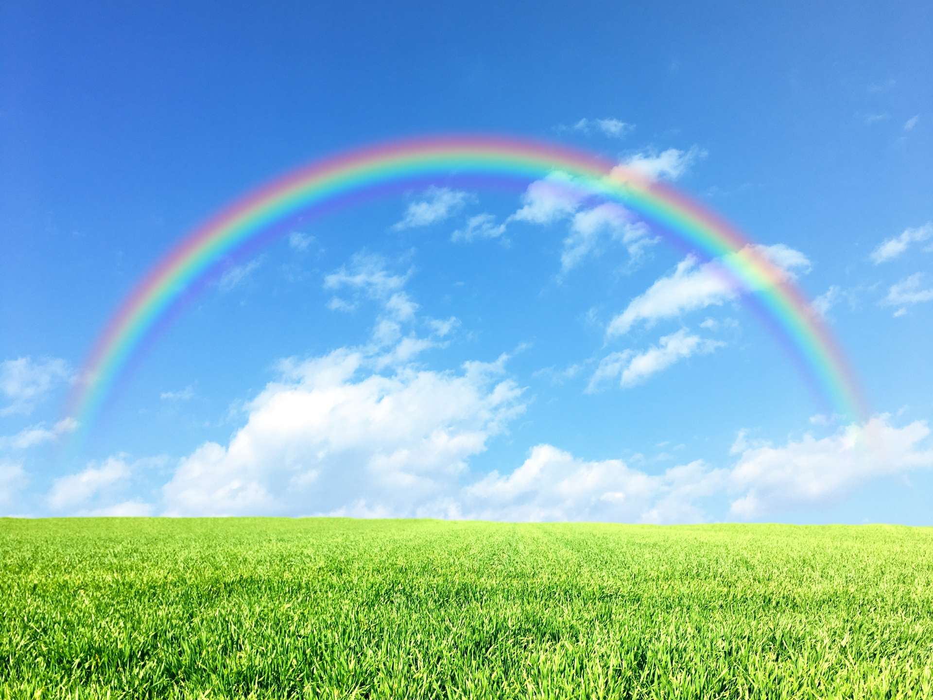 虹と草原